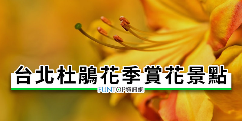 [旅遊]台北杜鵑花季@杜鵑花海臺北賞花拍照景點懶人包 Taipei Rhododendron